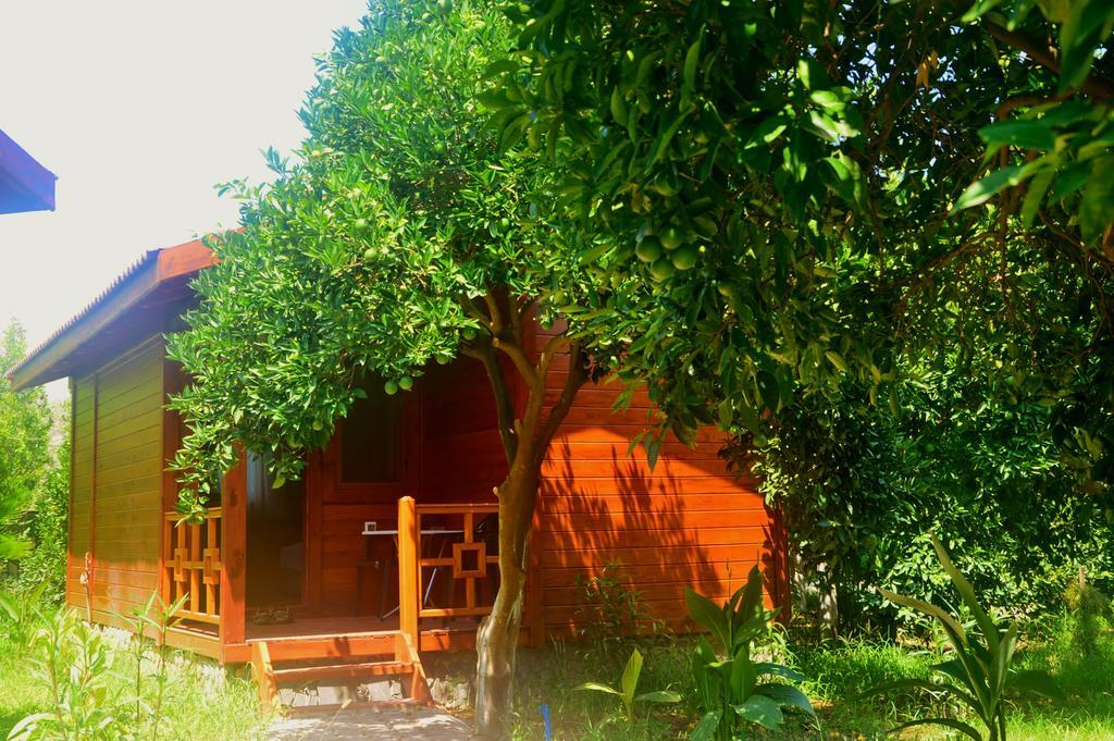 Safir Pansiyon Çıralı Luaran gambar