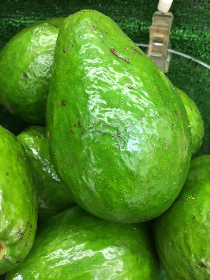 Safir Pansiyon Çıralı Luaran gambar